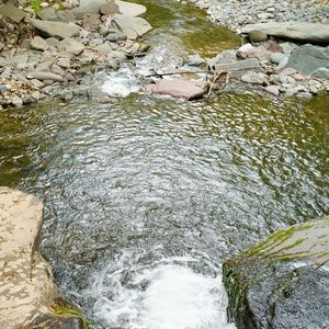 Meet your Posher, Allie